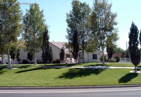 5160 Palisade Dr. 