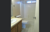 4210AlloyCt-GuestBath
